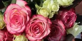 muttertag_pb_1246490